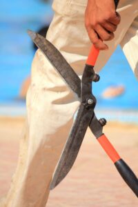 Man holding garden shears