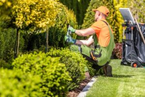 Hampshire Garden Grooming Services