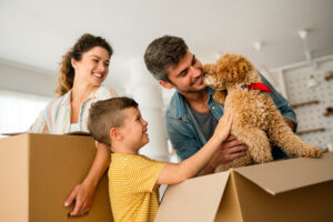Moving House With Pets A Stress-Free Guide for Cats and Dogs